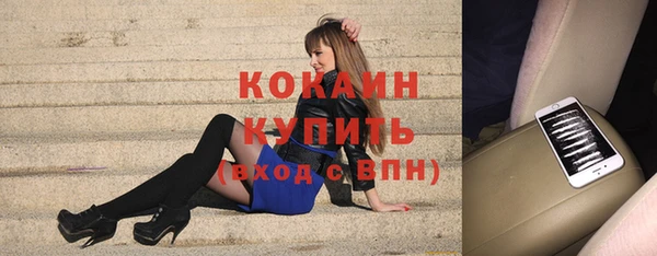 ПСИЛОЦИБИНОВЫЕ ГРИБЫ Магас