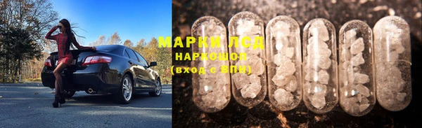 ПСИЛОЦИБИНОВЫЕ ГРИБЫ Магас