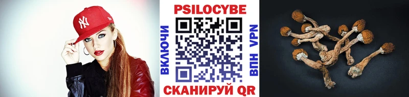 Галлюциногенные грибы прущие грибы Купить где Среднеуральск